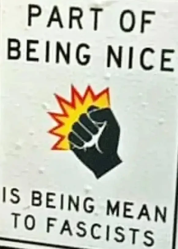 Part of being nice 💥‍✊🏿 is being mean to fascists