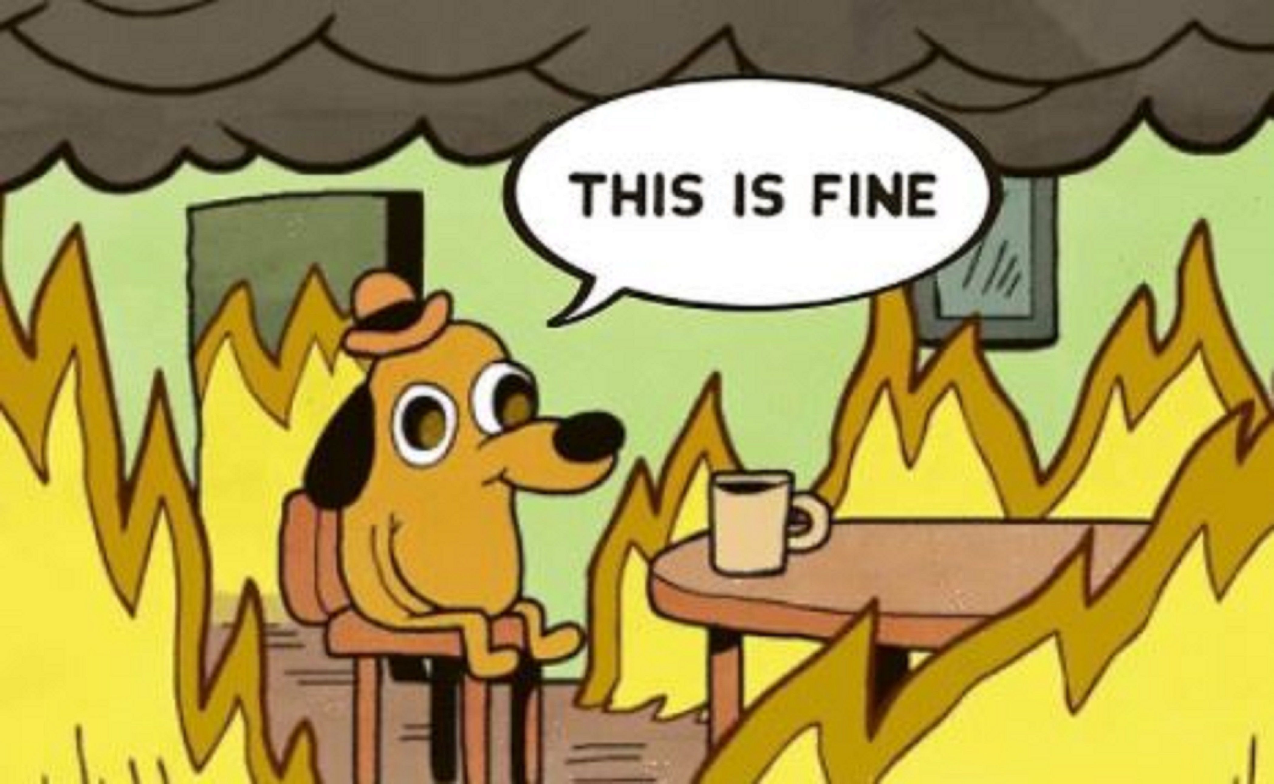 "This is fine" meme