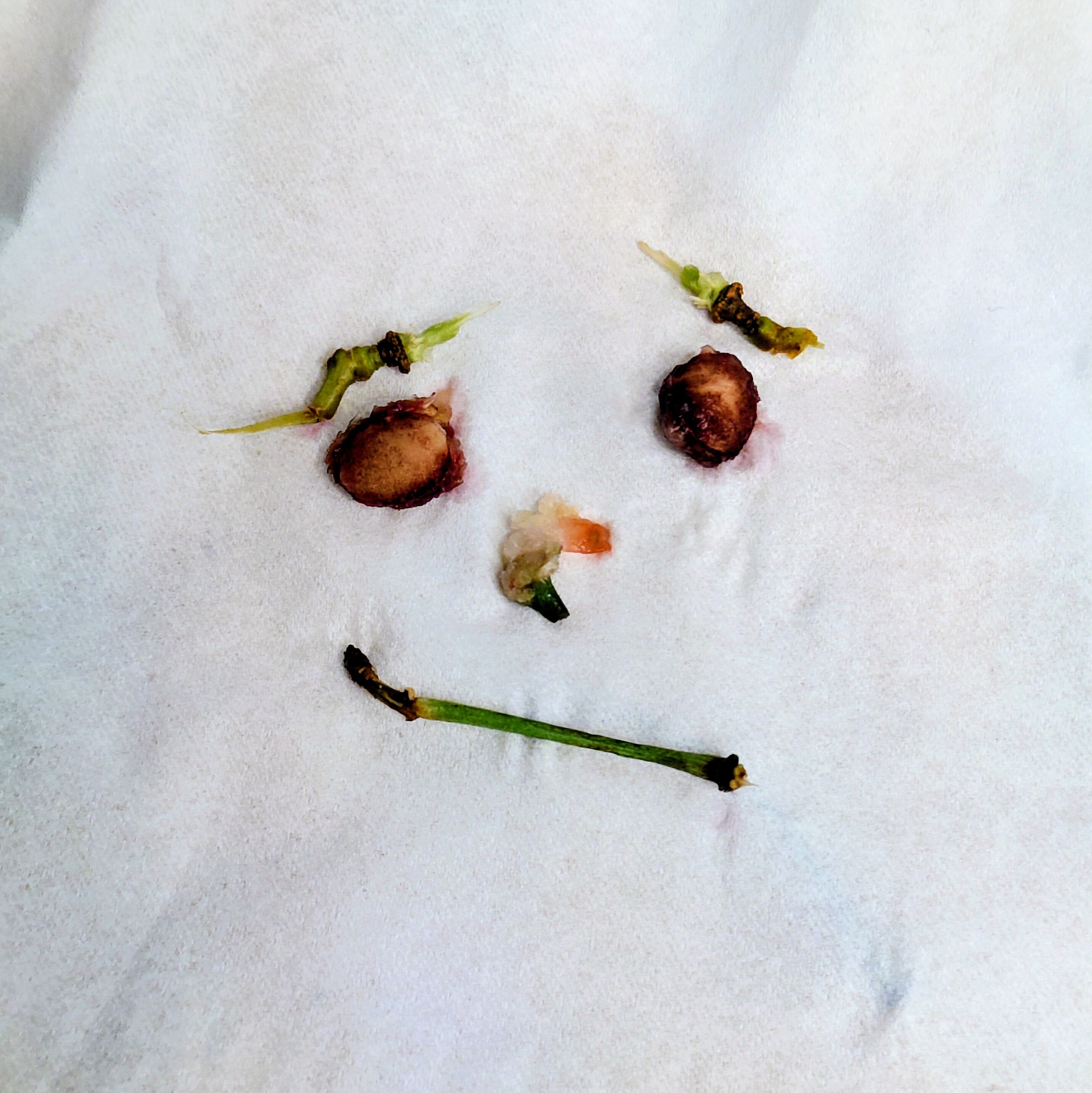 A face made from cherry pits