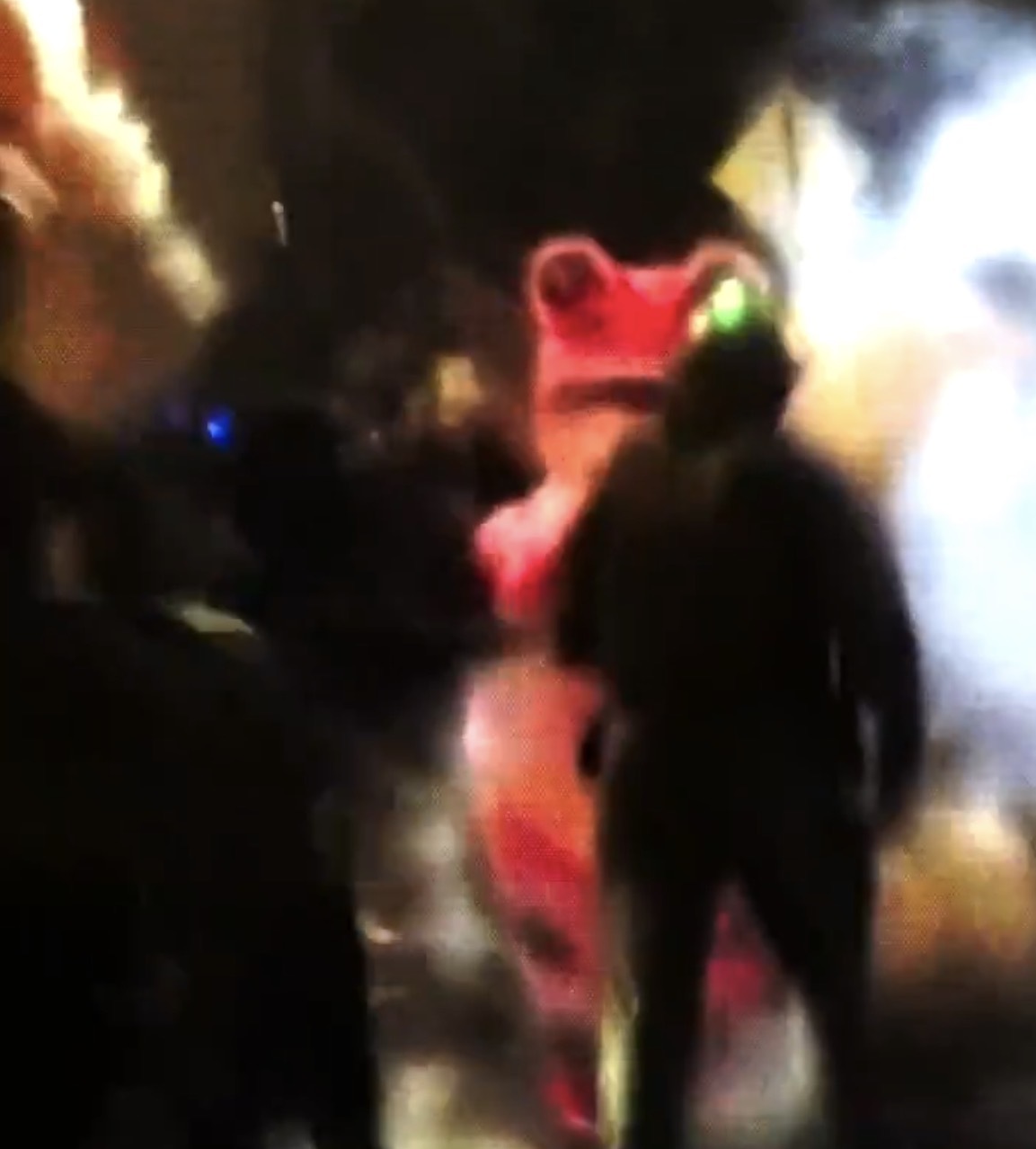 Person dressed as frog as police and ICE officers push them away with smoke in the background and around them 