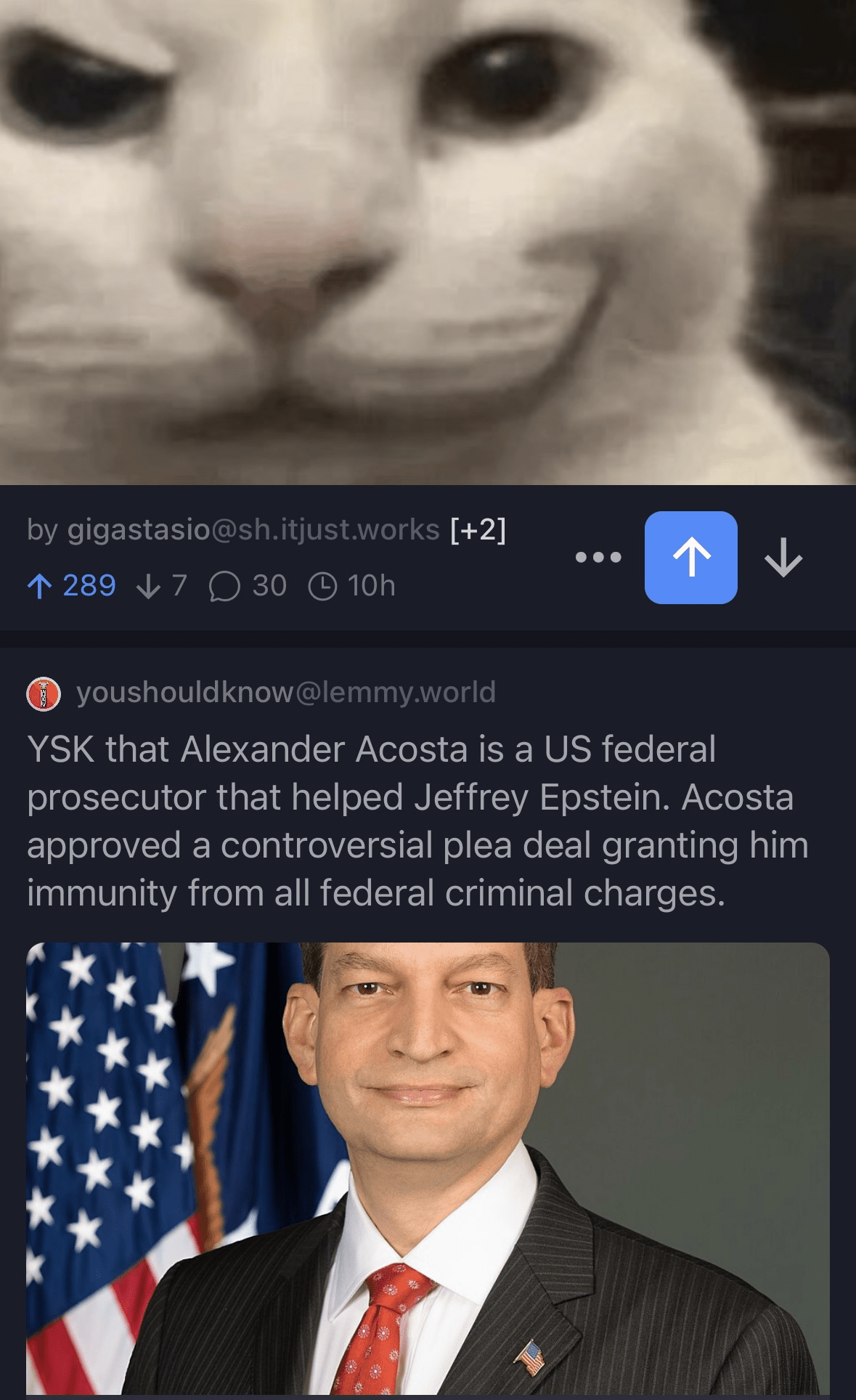 The altered cat photo accompanying this post appears atop a post about Alexander Acosta, who bears a striking resemblance to the altered image.