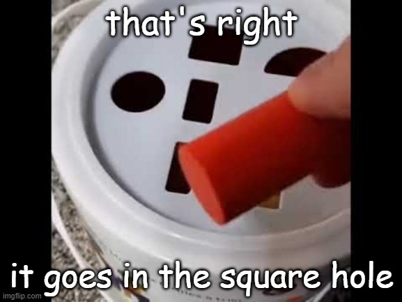1000004313