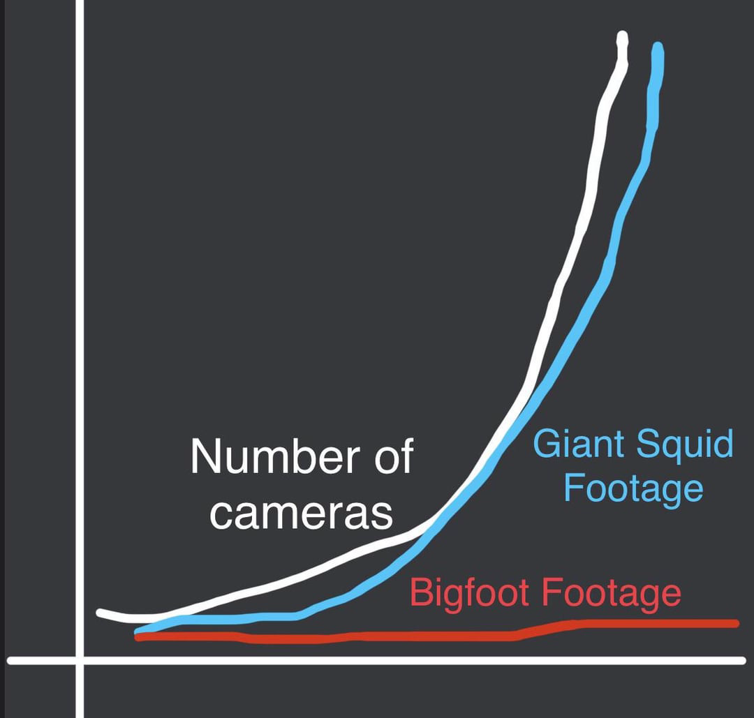Hypothetical chart comparing the number of cameras to the number of sightings of both Bigfoot and Giant Squid. Bigfoot sightings do not increase with more cameras.