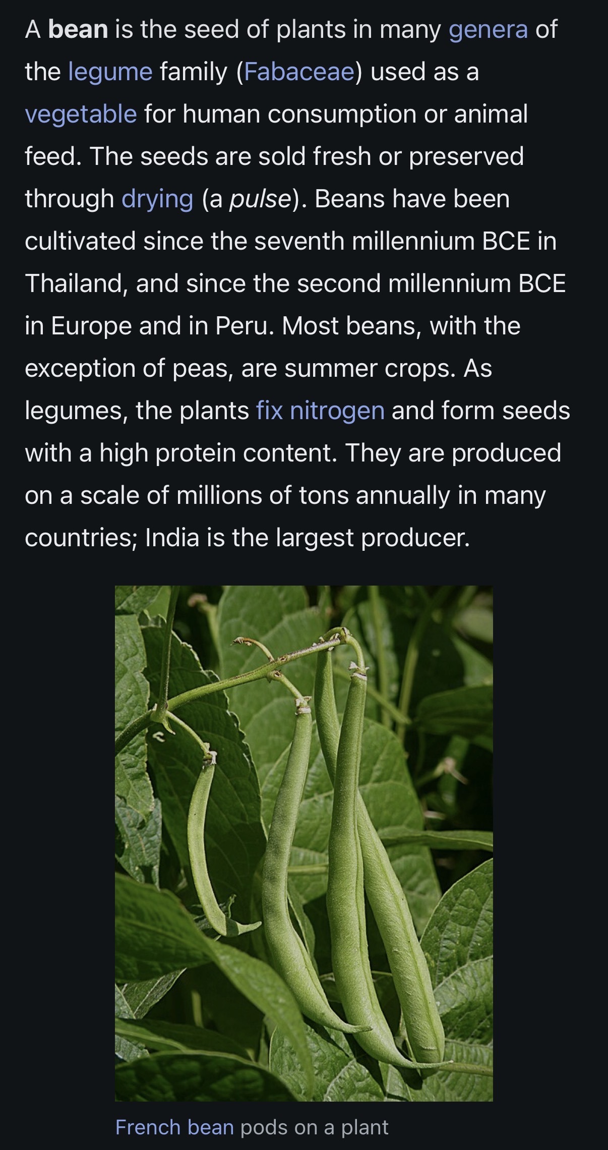 Wiki: Bean