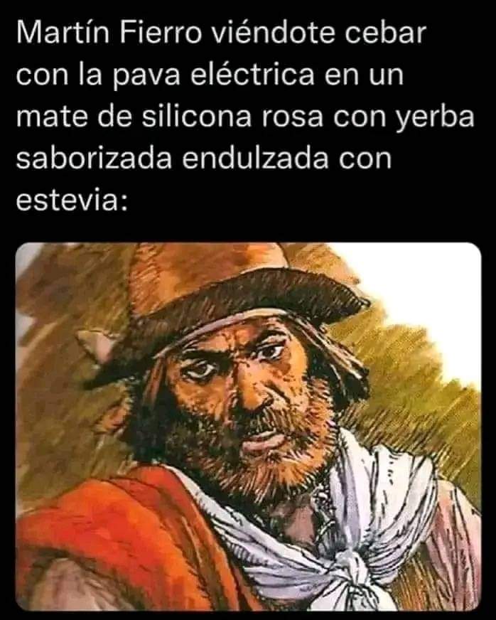 Martín Fierro viéndote cebar con la pava eléctrica en un mate de silicona rosa con yerba saborizada endulzada con estevia