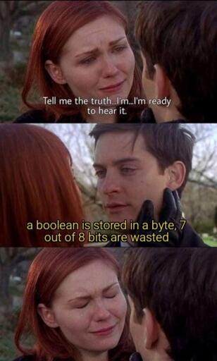 Tell me the truth... I'm ... I'm ready to hear it. - A boelean is stored in a byte, 7 out of 8 bits are wasted