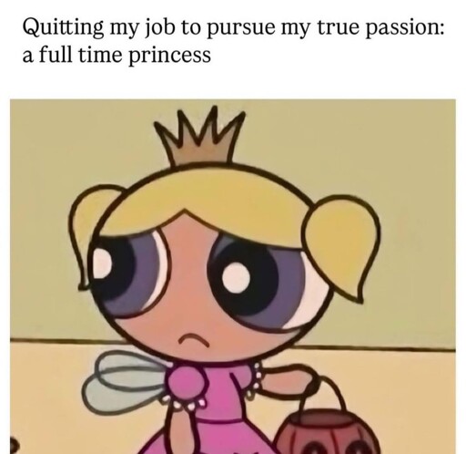 Quitting my job to pursue my true passion... a full time princess 