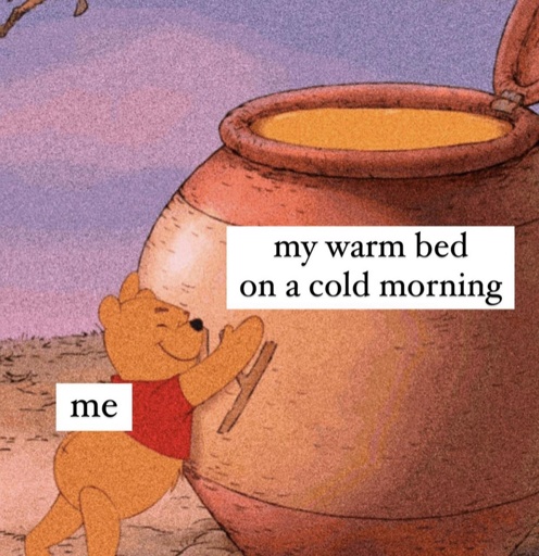 winnie the poo hugs a giant honey pot. poo is labeled Me. honey is labeled my bed